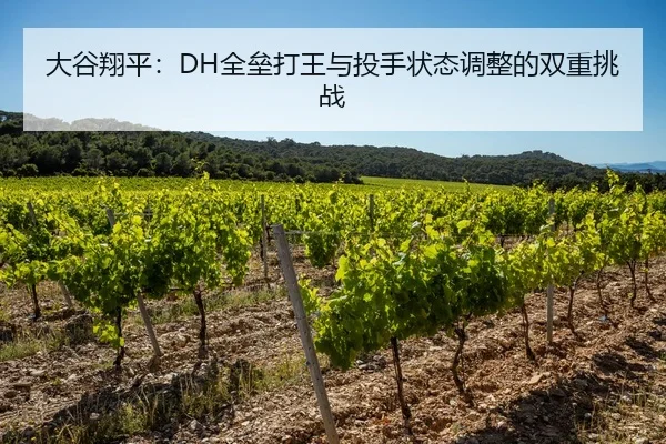 大谷翔平：DH全垒打王与投手状态调整的双重挑战